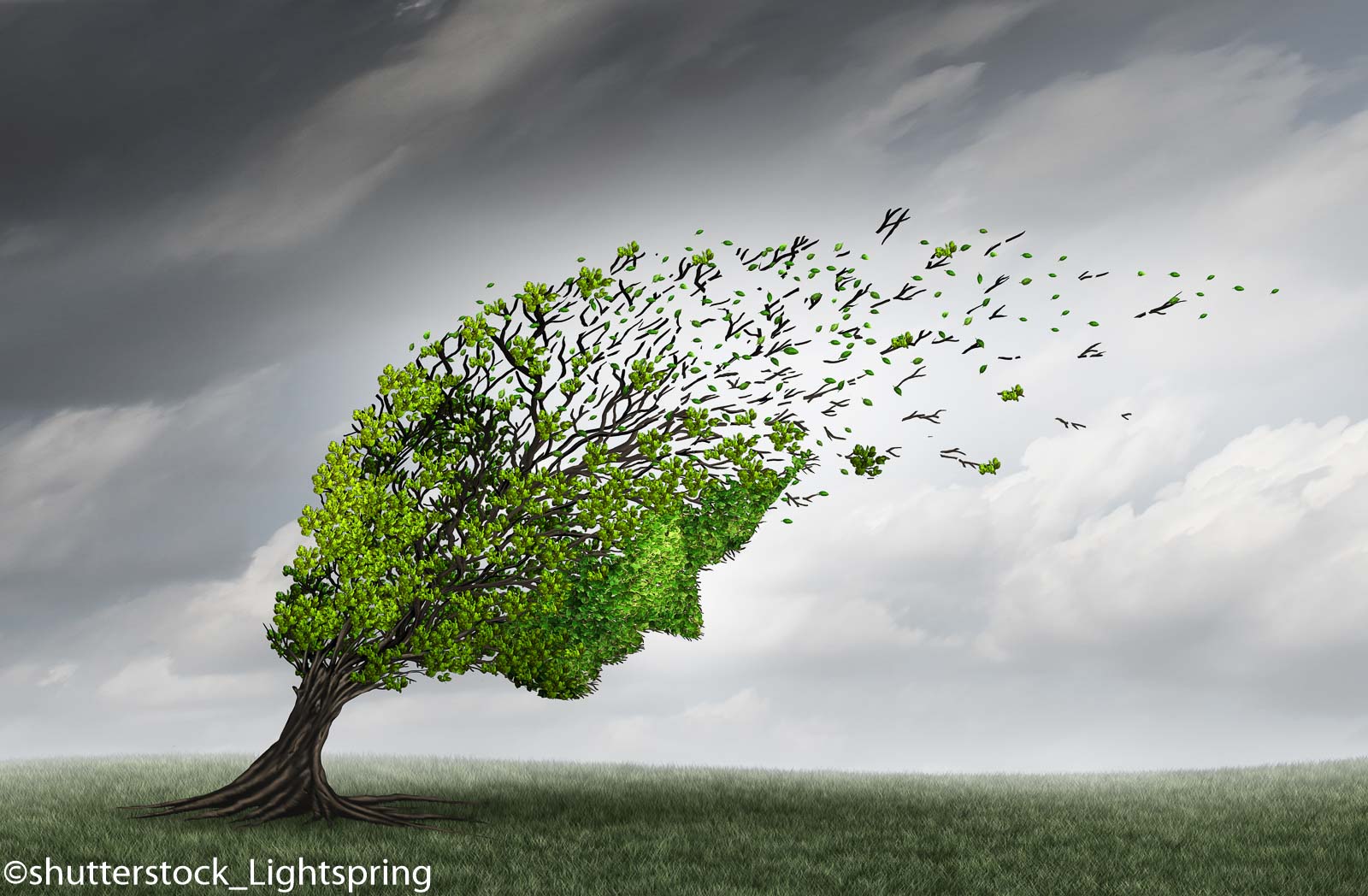 Auszubildende zur MFA